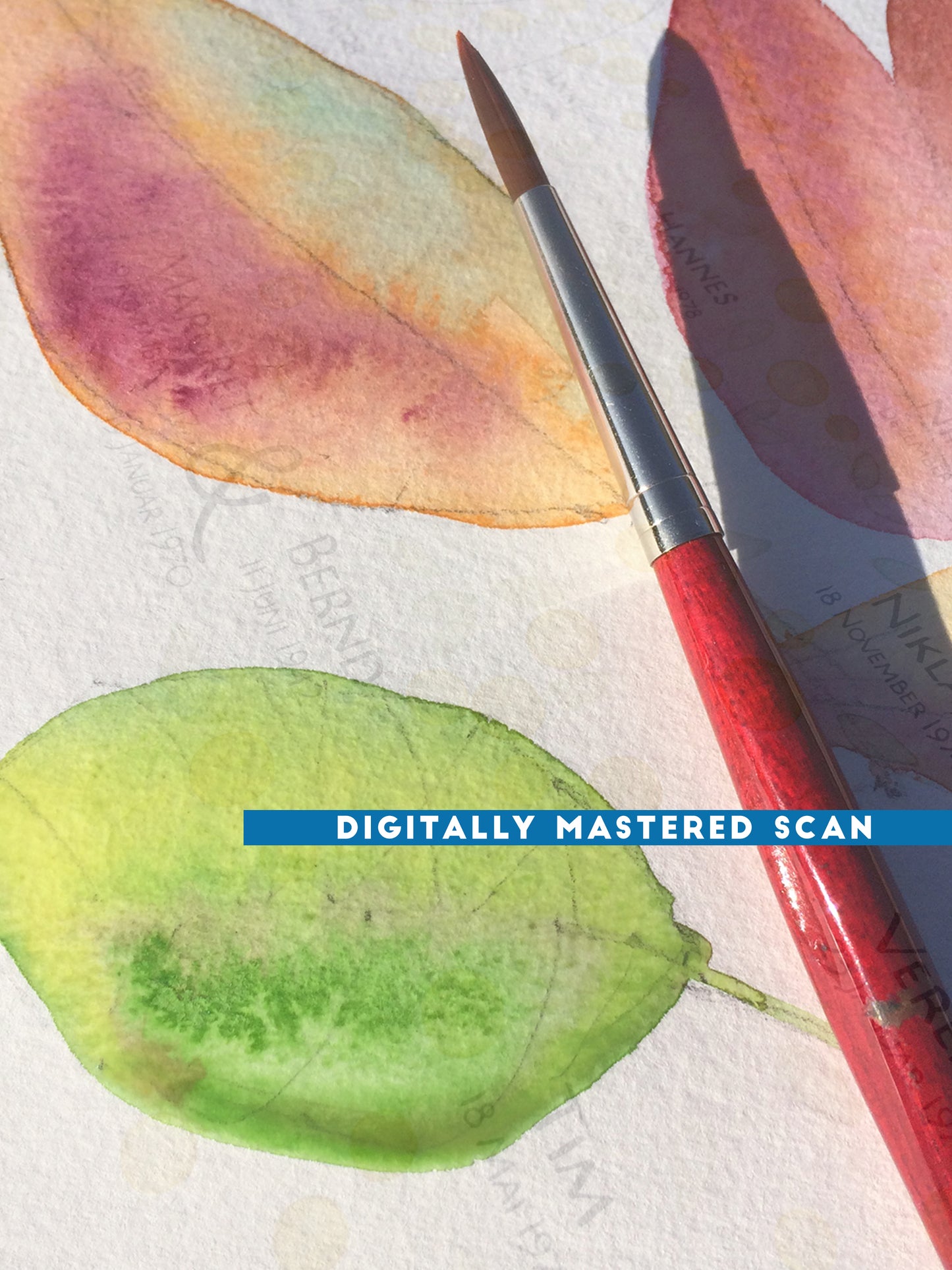 Digitally Mastered Scan of your original Family Tree and rights to self print