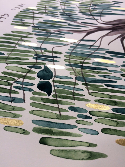 salix ketubah