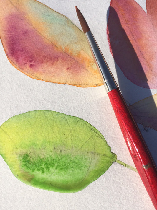Two leafs watercolor detail