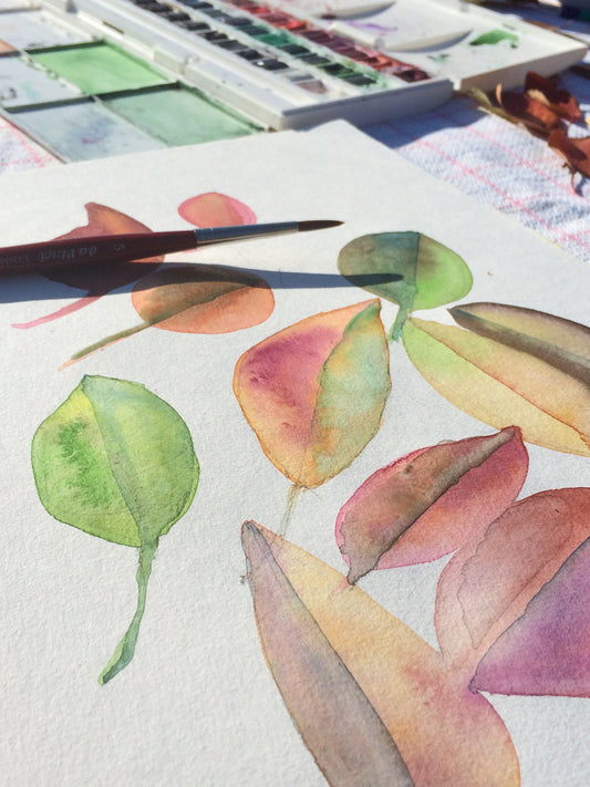 More leafs studies
