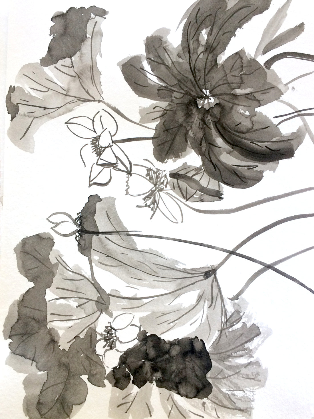 onceupoapaper elena berlo sumie sumi-e painting Japanese ink on paper black on white