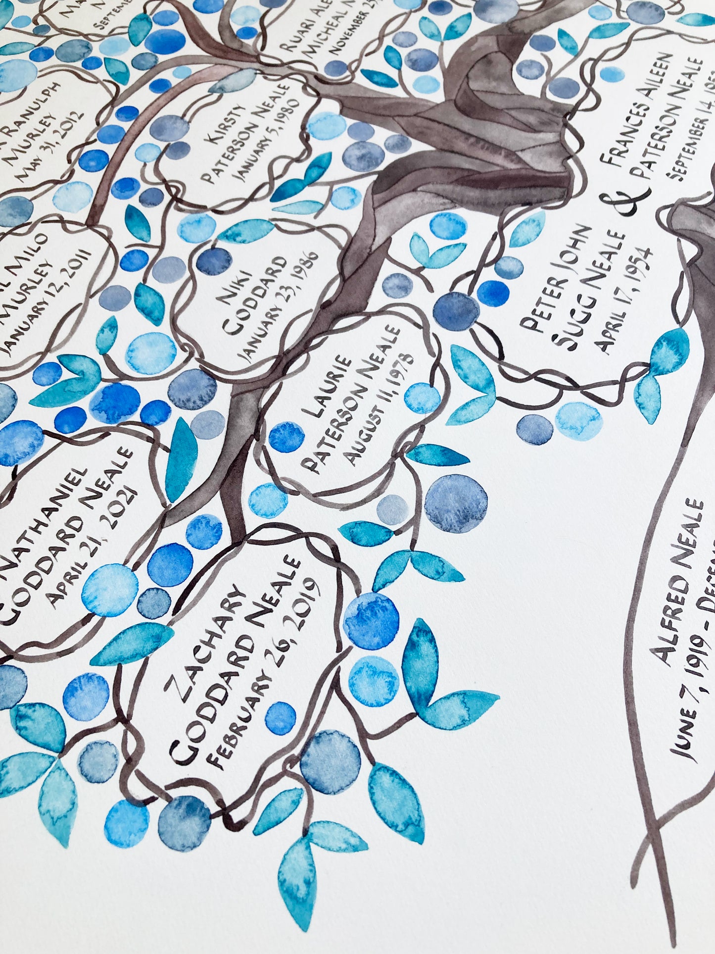 My Heritage Family Tree watercolor painting