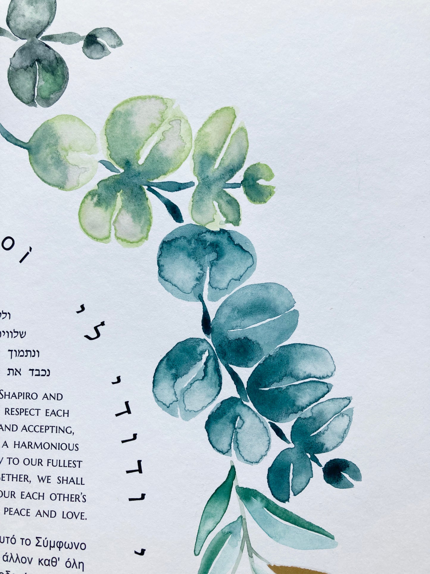 Mediterranean Botanical Ketubah | Trilingual Greek–Hebrew–English | Olive & Eucalyptus Watercolor