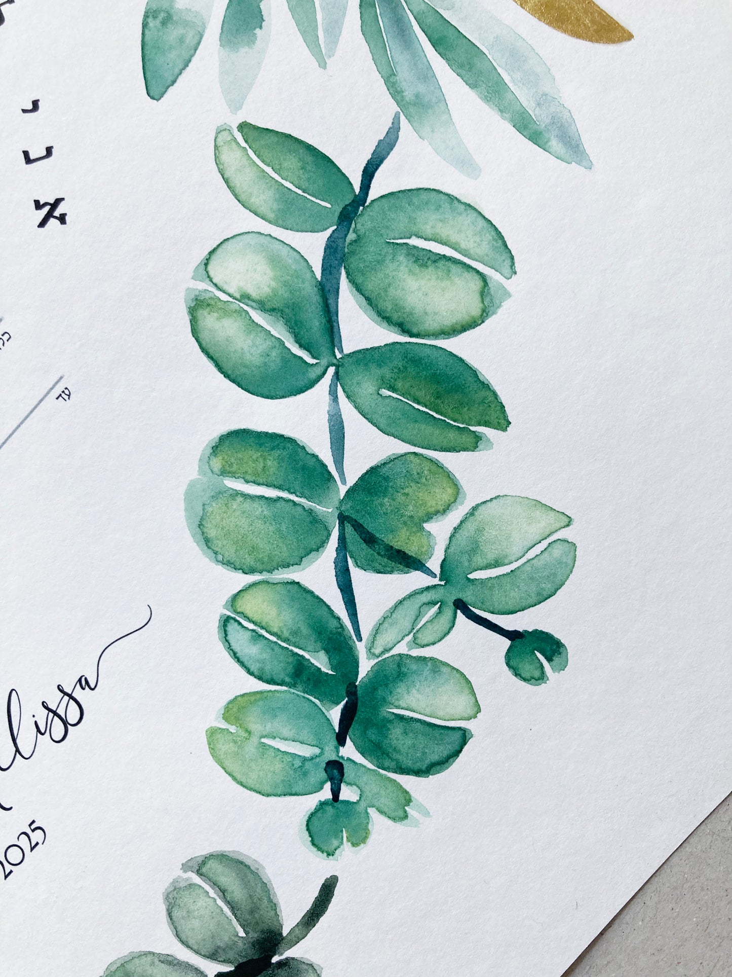 Mediterranean Botanical Ketubah | Trilingual Greek–Hebrew–English | Olive & Eucalyptus Watercolor