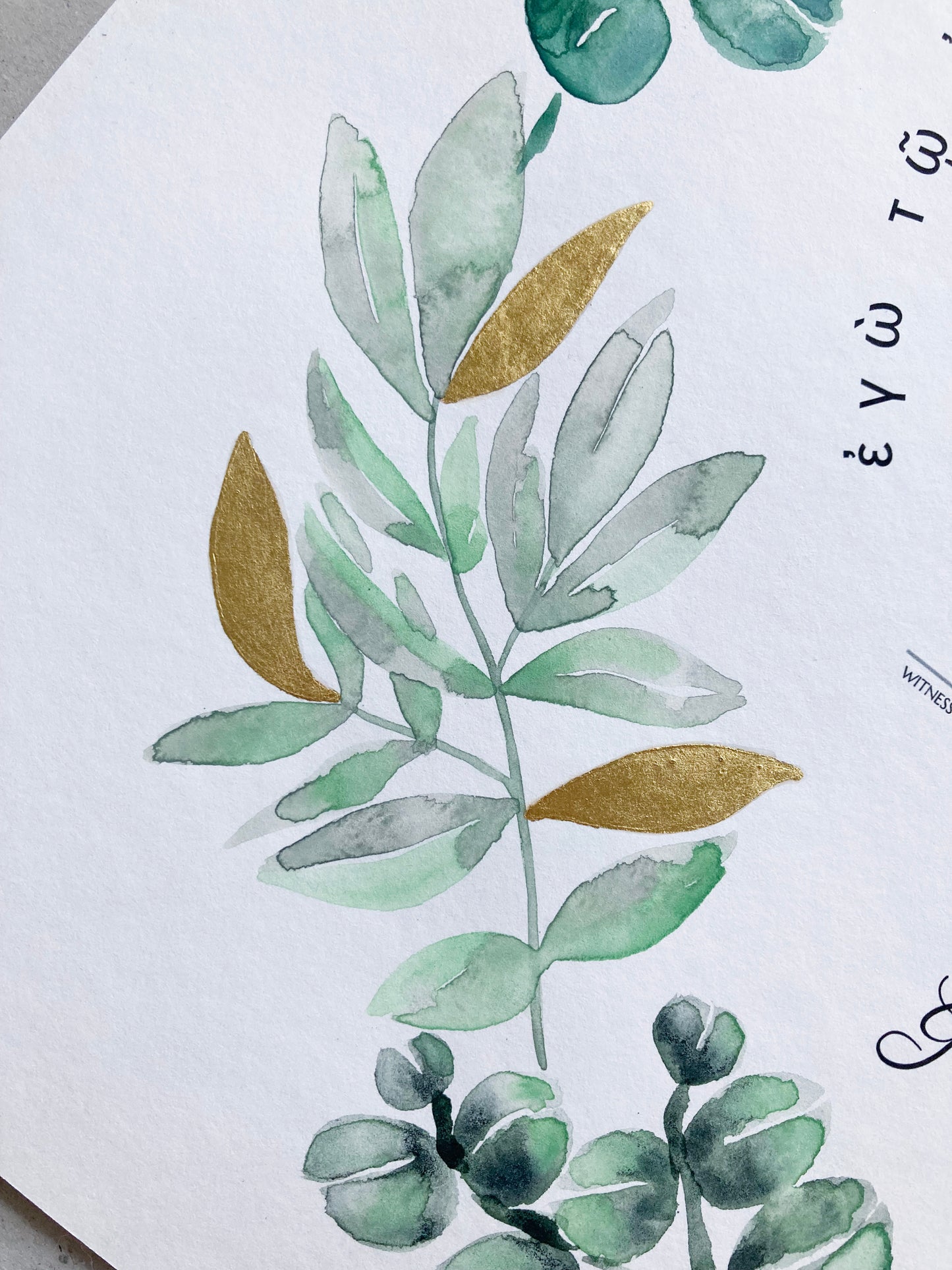 Mediterranean Botanical Ketubah | Trilingual Greek–Hebrew–English | Olive & Eucalyptus Watercolor