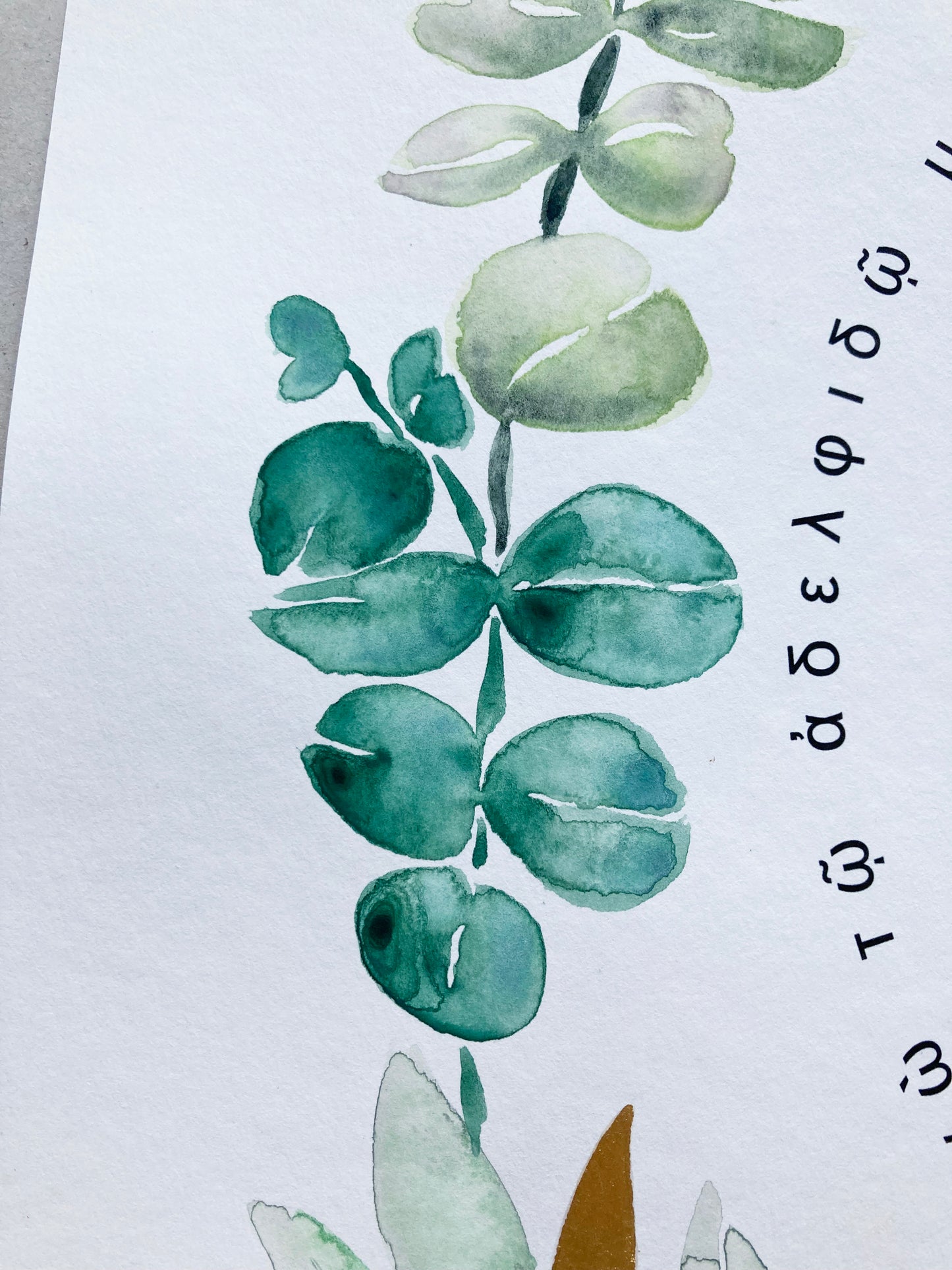Mediterranean Botanical Ketubah | Trilingual Greek–Hebrew–English | Olive & Eucalyptus Watercolor