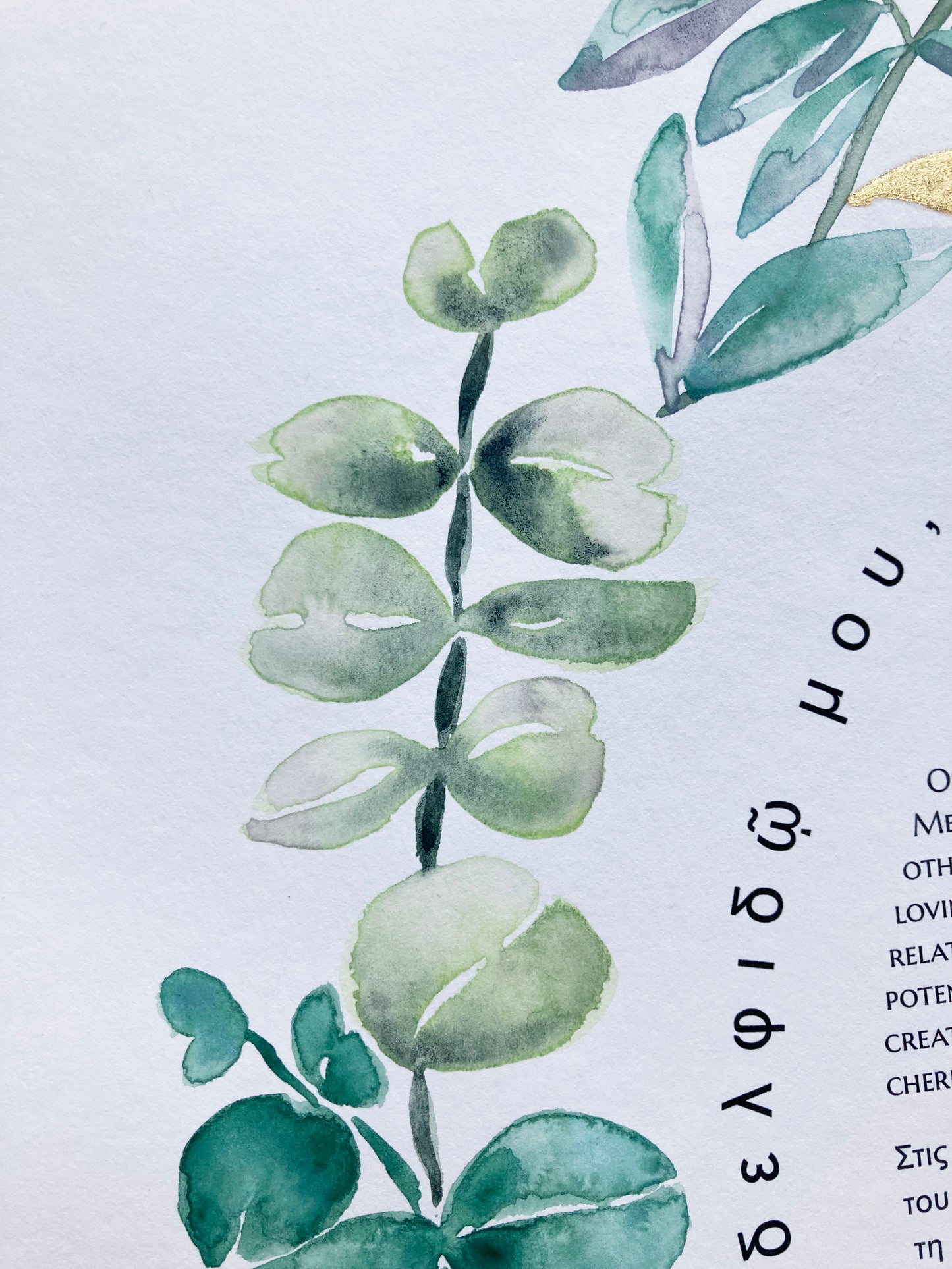 Mediterranean Botanical Ketubah | Trilingual Greek–Hebrew–English | Olive & Eucalyptus Watercolor