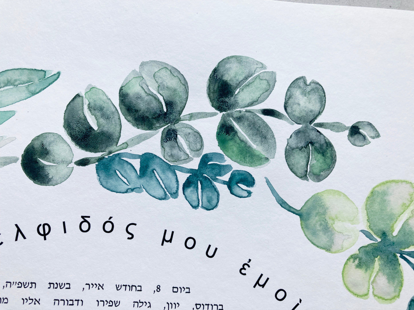 Mediterranean Botanical Ketubah | Trilingual Greek–Hebrew–English | Olive & Eucalyptus Watercolor