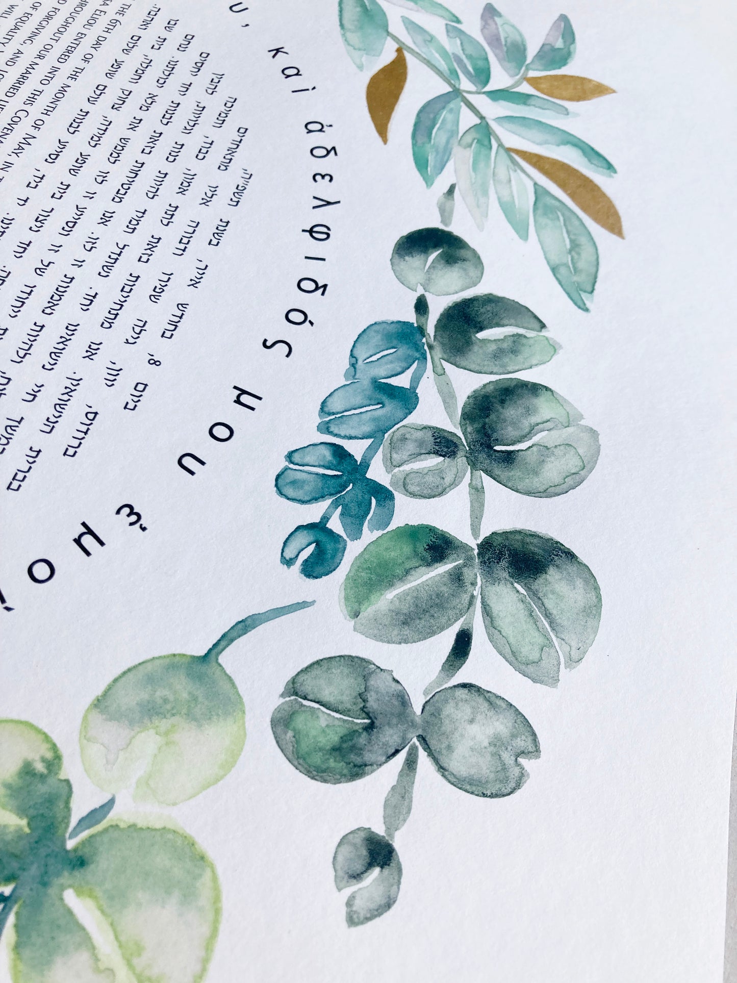 Mediterranean Botanical Ketubah | Trilingual Greek–Hebrew–English | Olive & Eucalyptus Watercolor