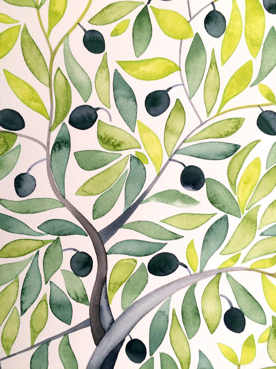 Mediterranean Olive Tree, 2016