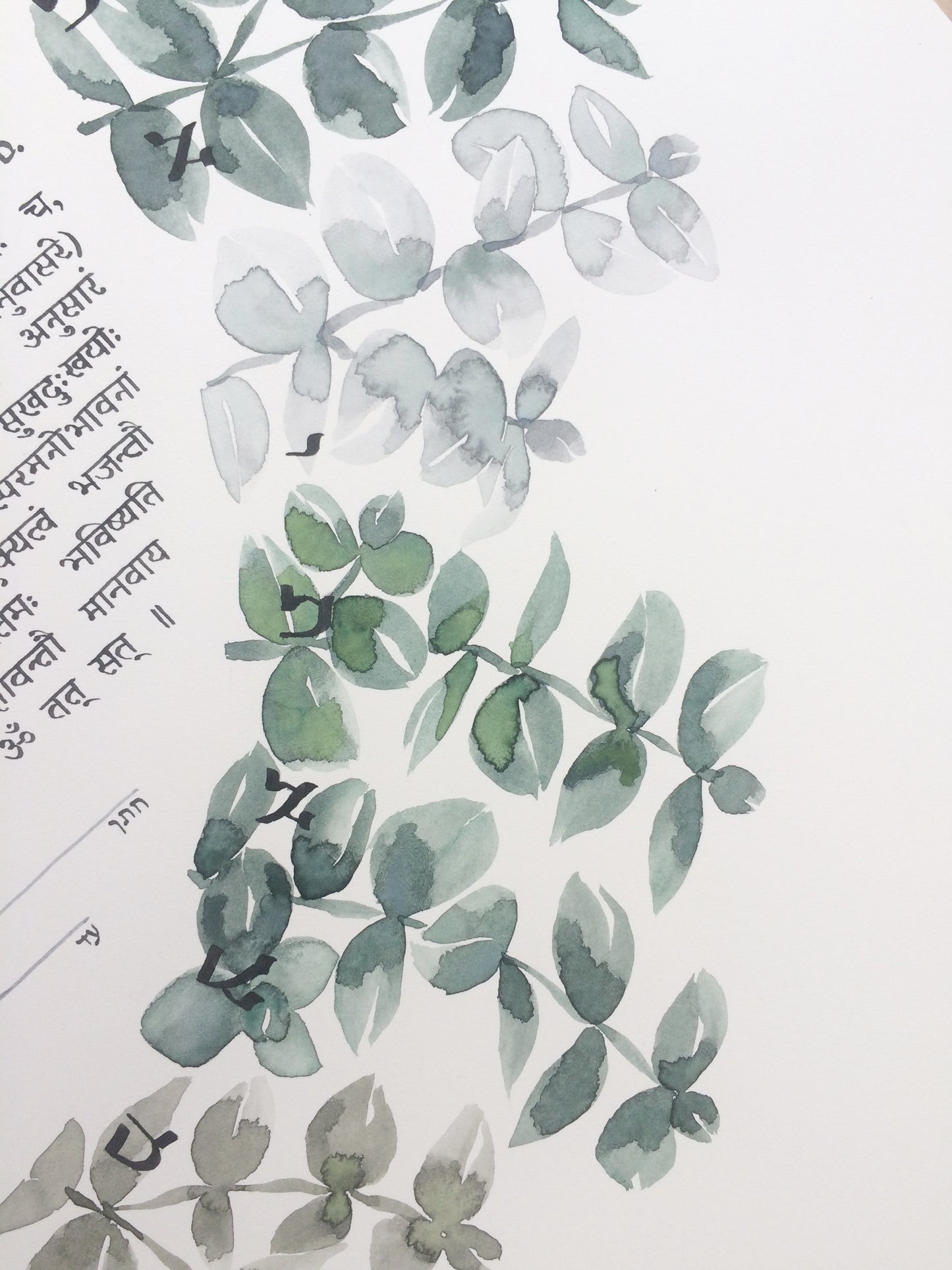 Watercolor Eucalyptus Ray < Trilingual Ketubah Artwork Commission