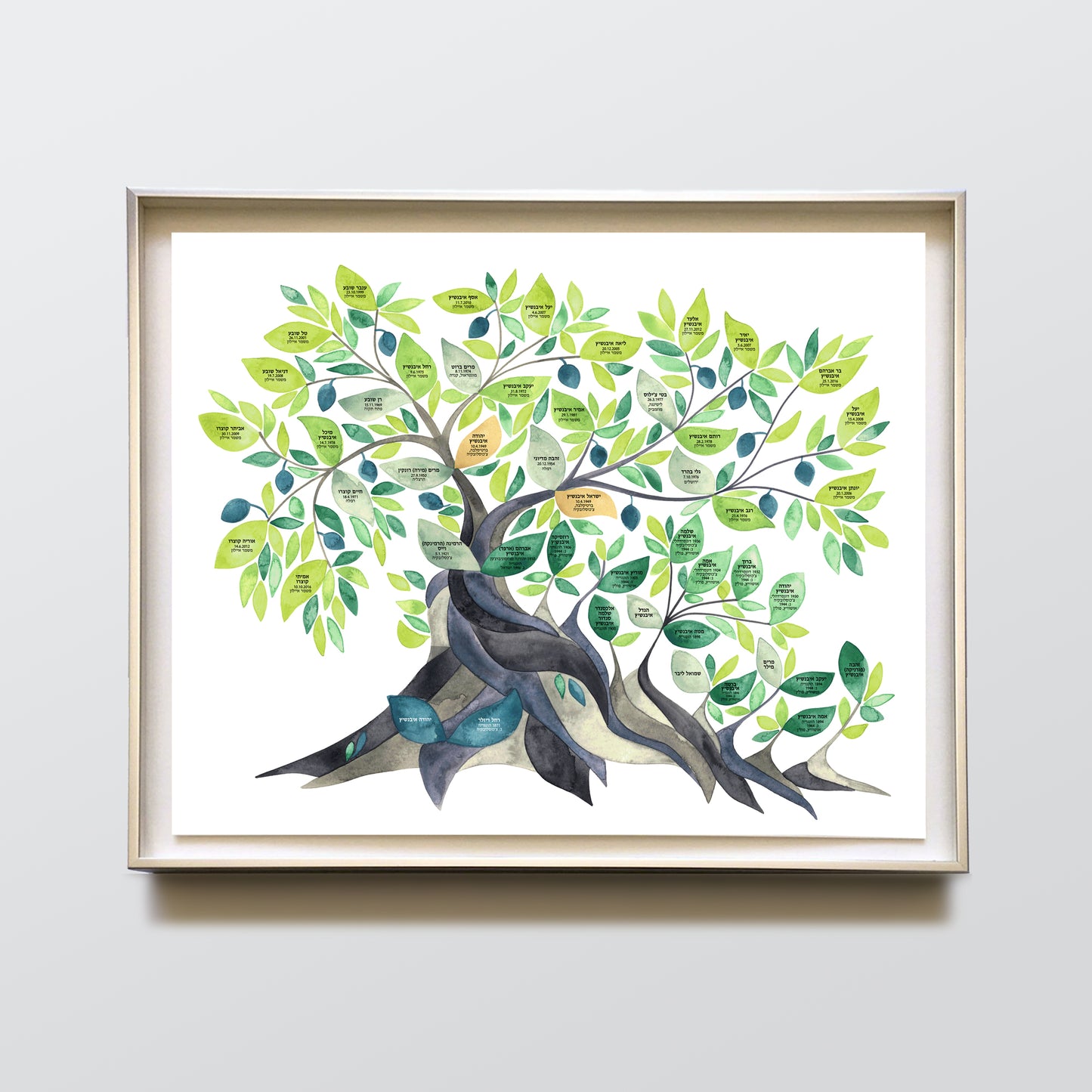 Jewish Family Tree watercolor painting with Hebrew names >>> Secular Olive Tree, Custom ancestry tree of life